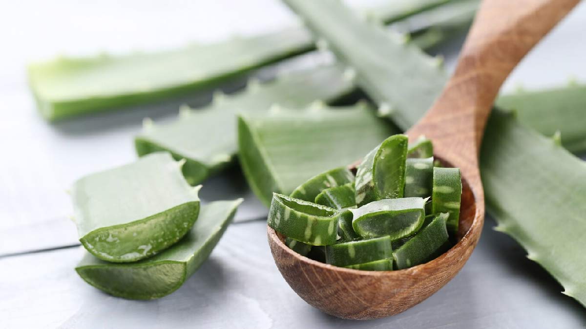 Herbs To Combat Vaginal Dryness