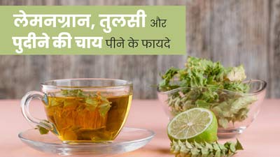 लेमनग्रान, तुलसी और पुदीने की चाय पीने से शरीर को मिलते हैं ये 5 फायदे, जानें इसकी रेसिपी