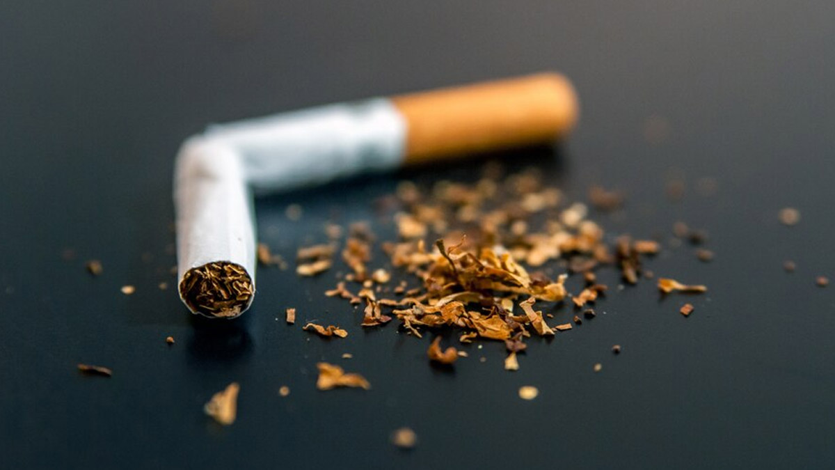 How Excessive Consumption Of Nicotine Can Cause Brain Stroke, Expert Explains