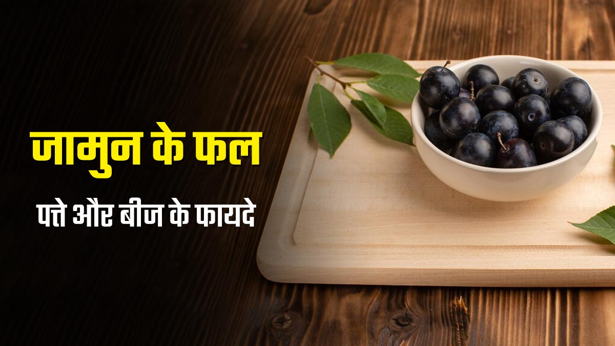 जामुन के फल, पत्ते और बीज खाने से सेहत को मिलते हैं कई फायदे, एक्सपर्ट से जानें
