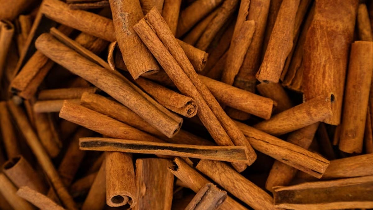 Importance of Cinnamon in Women Diet 