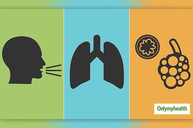  Rise in Pulmonary Disease Deaths in Delhi Causes and Prevention