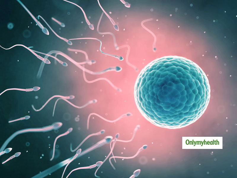 Sperm Banking Can Help Preserve Male Fertility! Expert Shares How It Works, Benefits and Tips for Preservation
