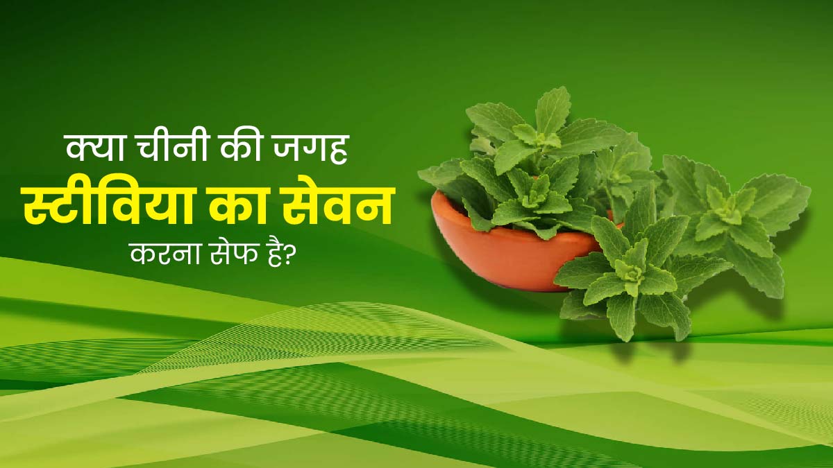 क्या चीनी की जगह स्टीविया (मीठी तुलसी) का सेवन करना सेफ होता है? जानें एक्सपर्ट से 