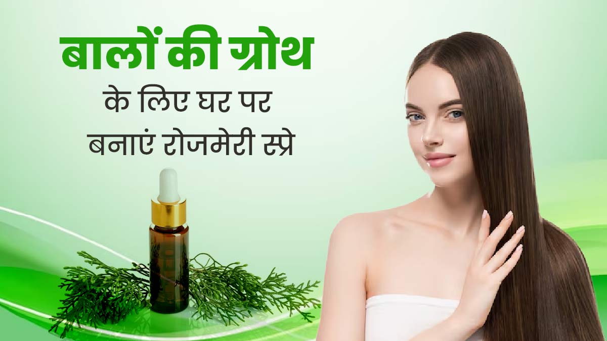बालों की ग्रोथ के लिए लगाएं रोजमेरी स्प्रे, जानें इसे बनाने और लगाने का तरीका 
