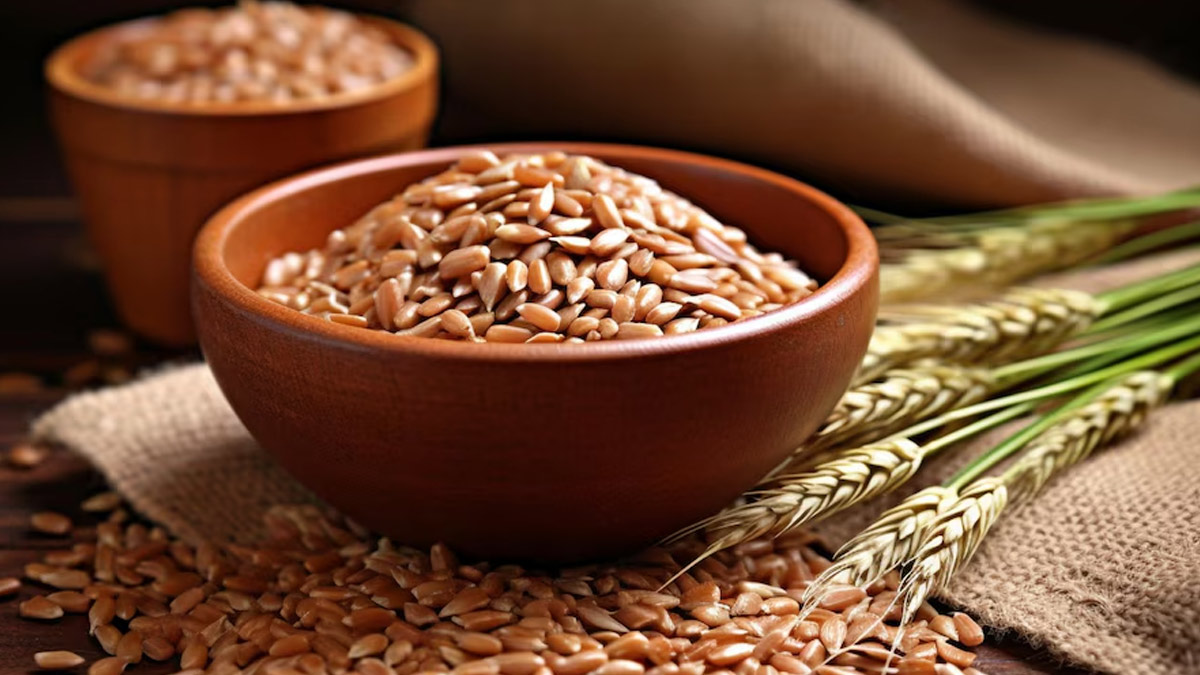 Do You Know About Ancient Whole Grain ‘Farro’? Know It Health Benefits ...