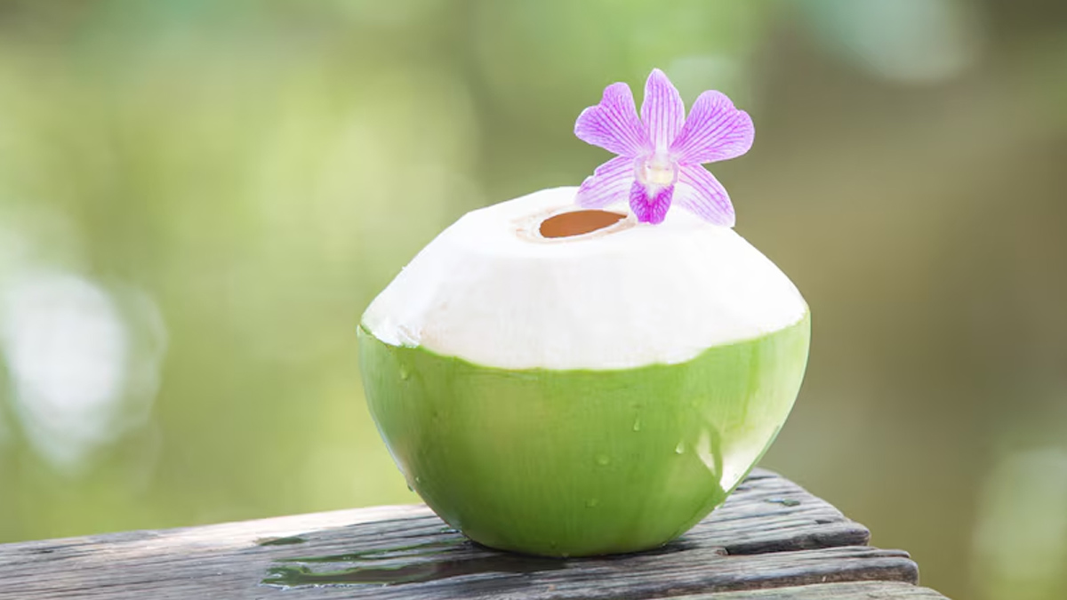 coconut 