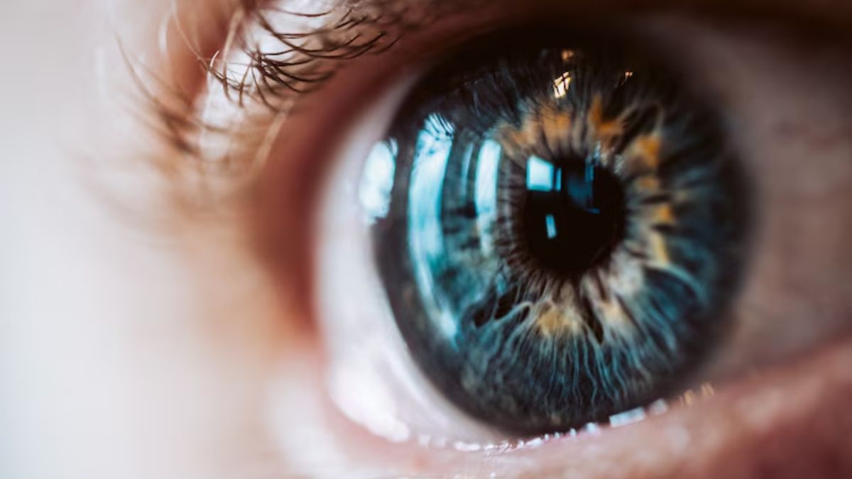 Tips To Prevent Eye Diseases