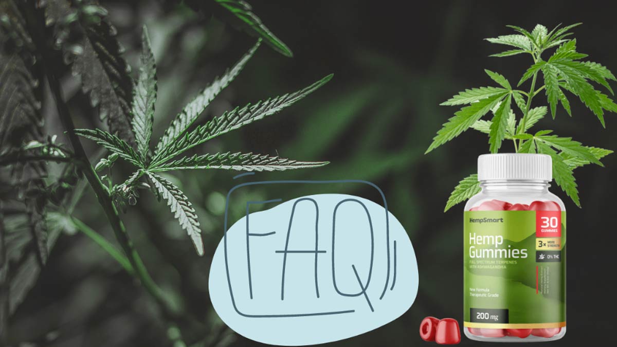 Things To Know About Smart Hemp Gummies