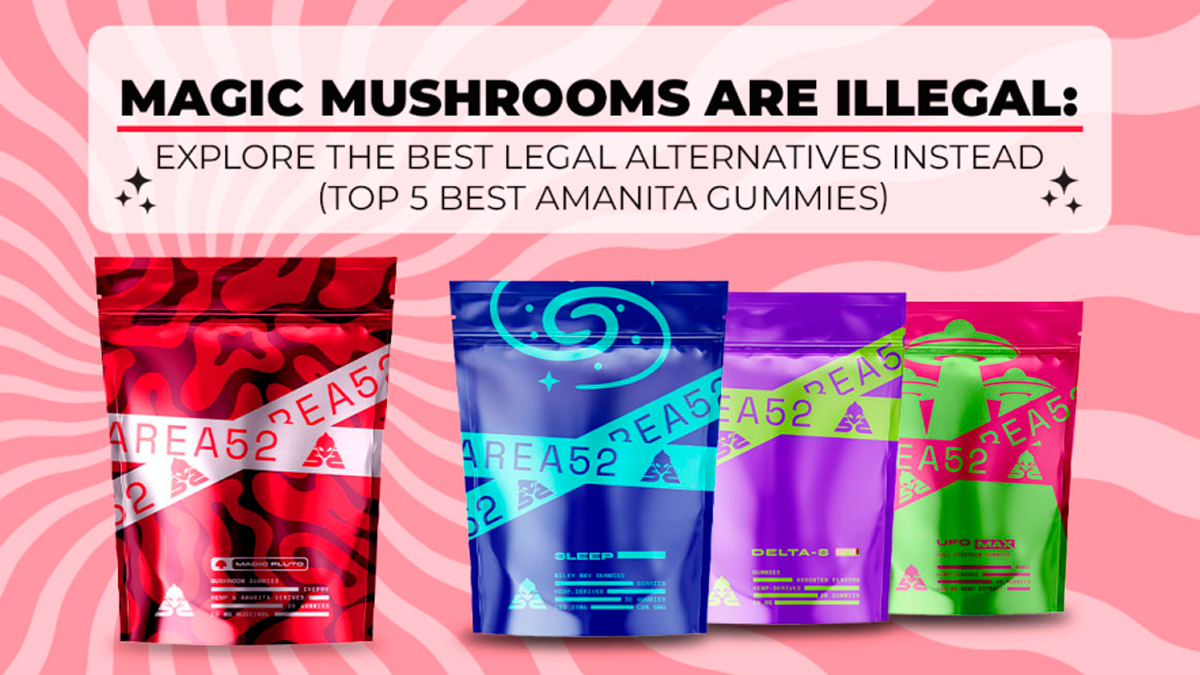 Best Amanita Muscaria Gummies: Top 6 Brands Reviewed