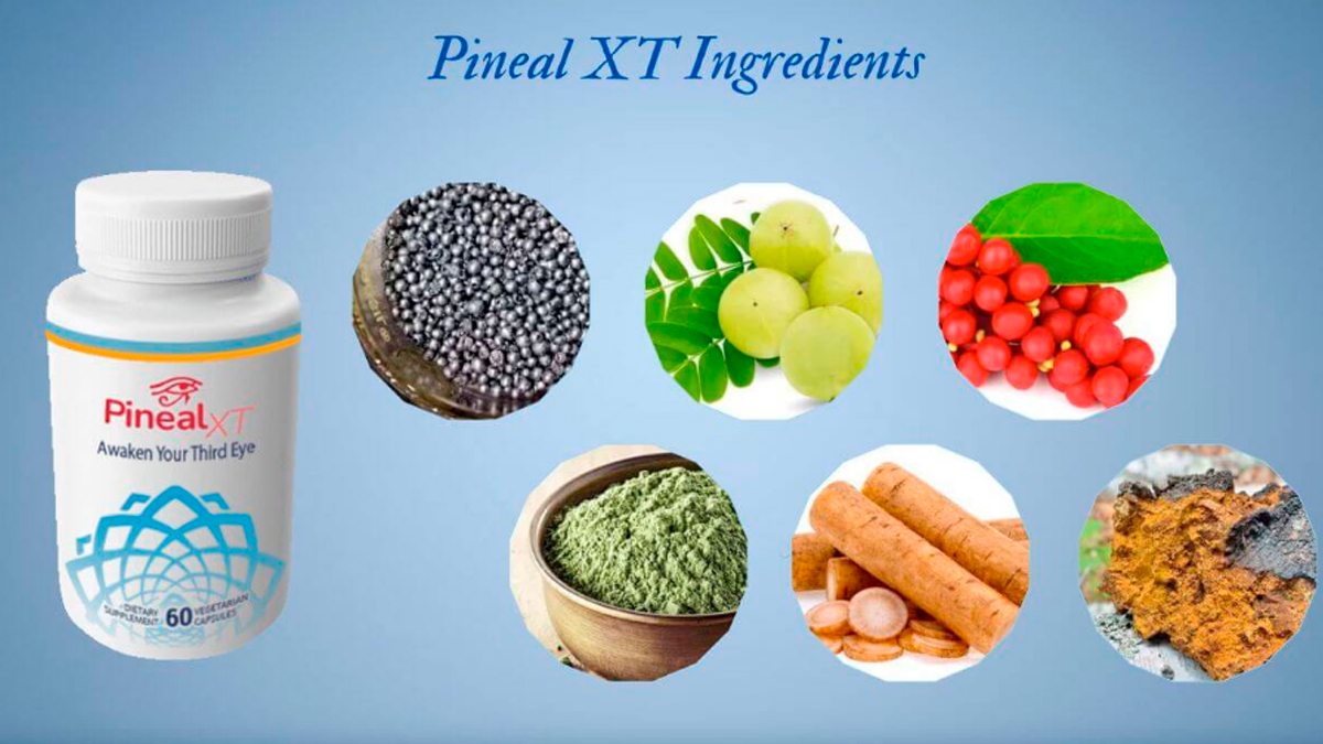 The Ingredients Of Pineal XT