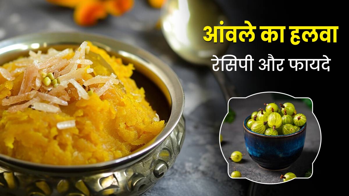 Amalaki Ekadashi 2024: आमलकी एकादशी के व्रत में खाएं आंवले का हलवा, जानें फायदे और रेसिपी