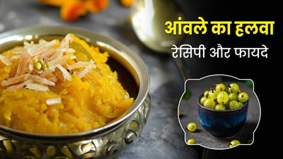 Amalaki Ekadashi 2024: आमलकी एकादशी के व्रत में खाएं आंवले का हलवा, जानें फायदे और रेसिपी
