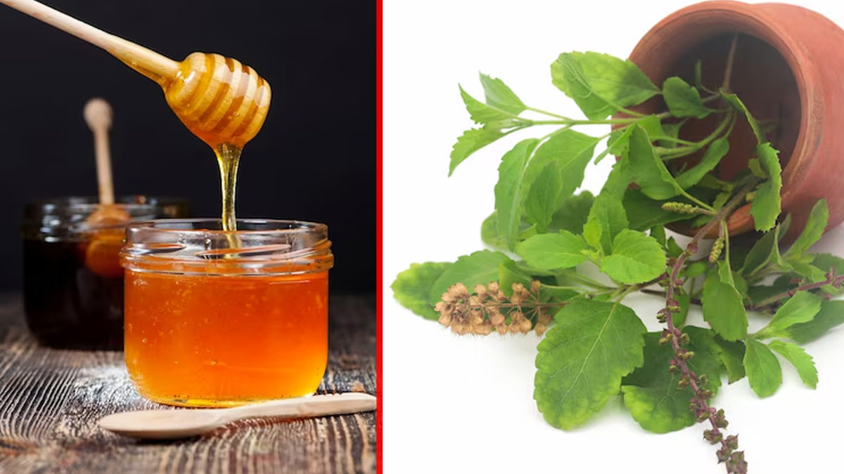 honey and tulsi hair mask