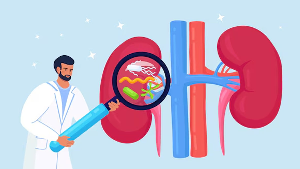 Who Are At High Risk For Kidney Disease