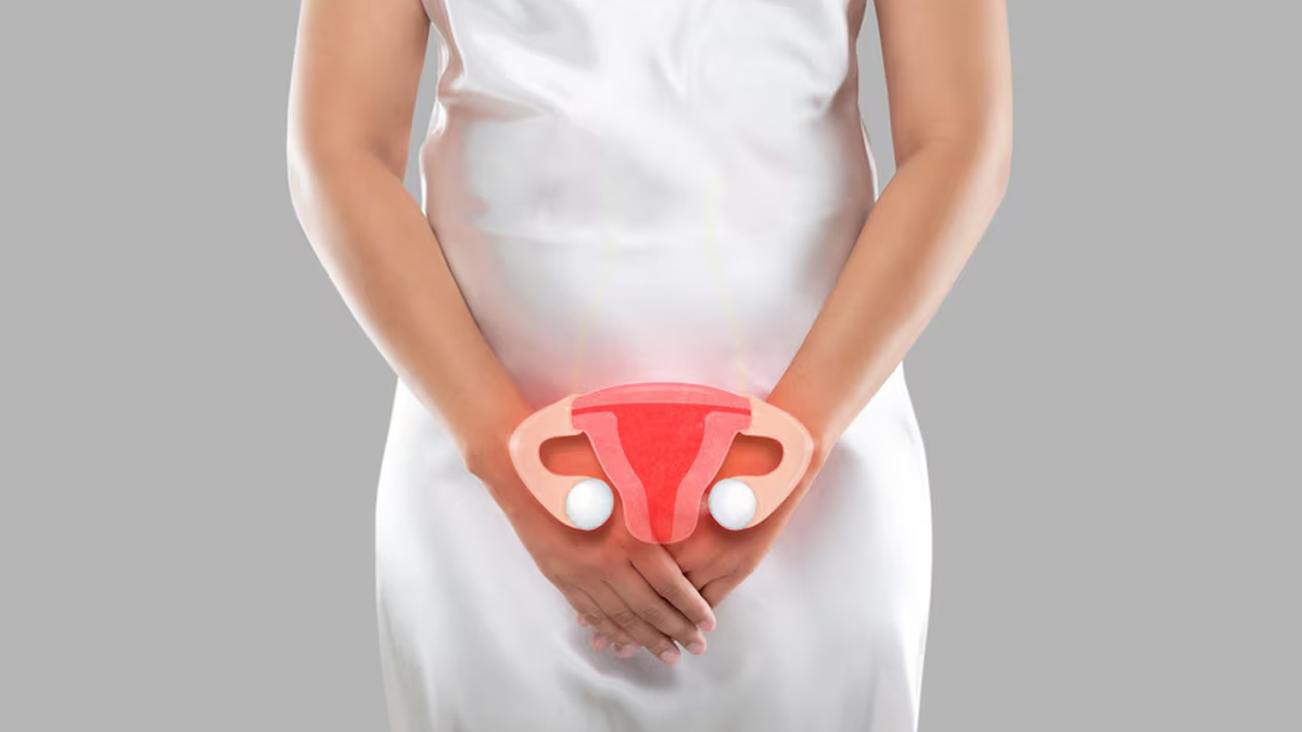 uterus