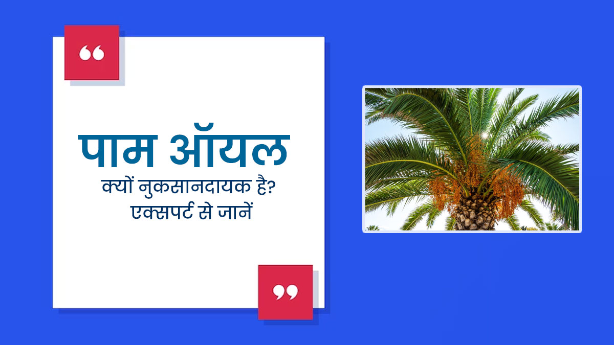 पाम ऑयल क्या है? जानें सेहत के लिए क्यों माना जाता है इसे खतरनाक