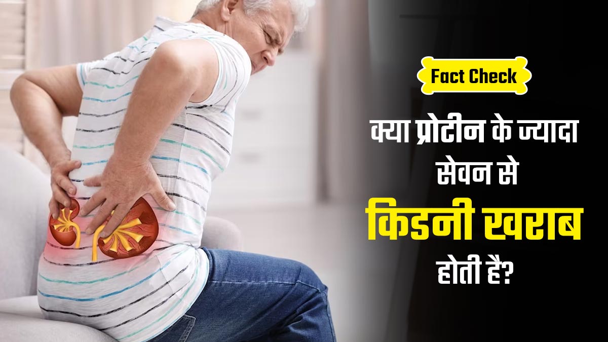 Fact Check: क्या प्रोटीन का ज्यादा सेवन करने से किडनी खराब होती है? डॉक्टर से जानें इसकी सच्चाई