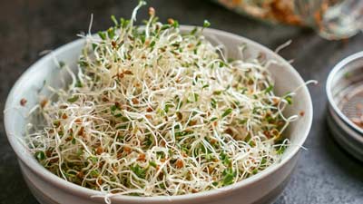 Alfalfa Sprouts: अल्फाल्फा स्प्राउट्स खाने से सेहत को मिलते हैं ये 5 जबरदस्त फायदे, डाइटिशियन से जानें रेसिपी 