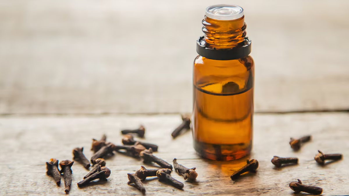 clove-oil