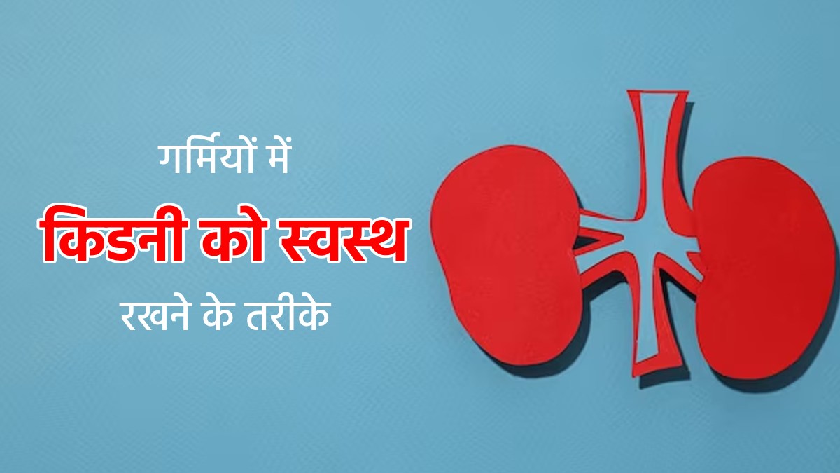 गर्म‍ियों में क‍िडनी को स्‍वस्‍थ रखने के ल‍िए जीवनशैली में करें ये 5 बदलाव, बीमार‍ियों से होगा बचाव