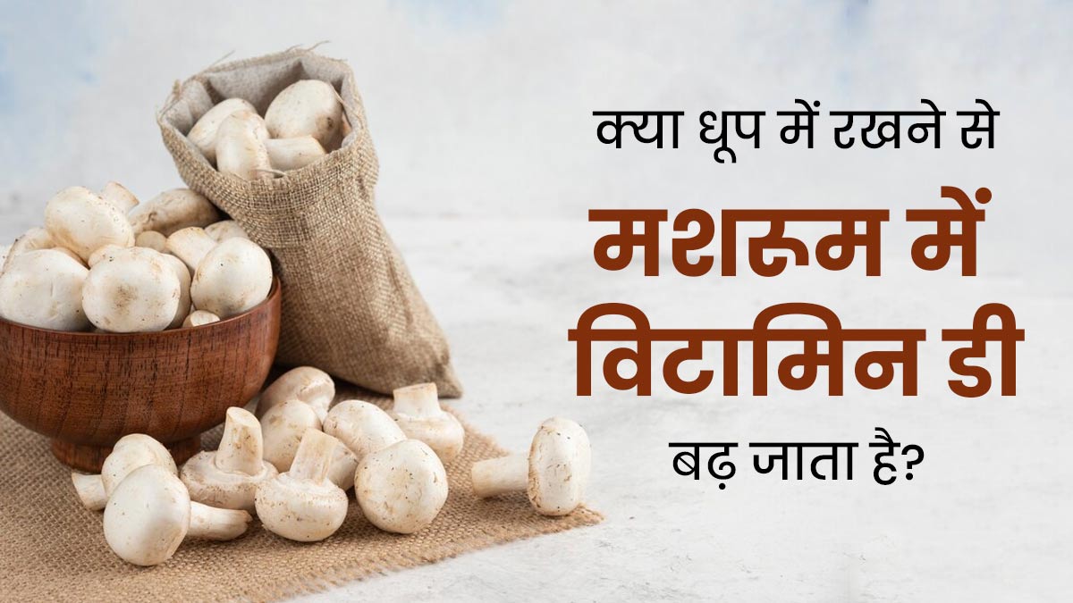 क्या धूप में रखने से मशरूम में विटामिन डी बढ़ जाता है? जानें सच्चाई