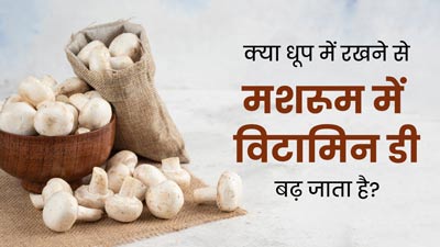 क्या धूप में रखने से मशरूम में विटामिन डी बढ़ जाता है? जानें सच्चाई