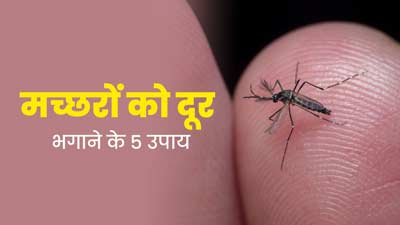 मच्छरों को दूर भगाने के लिए अपनाएं ये 5 उपाय, कई बीमारियों से भी होगा बचाव