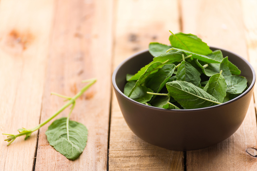 tulsi-leaves