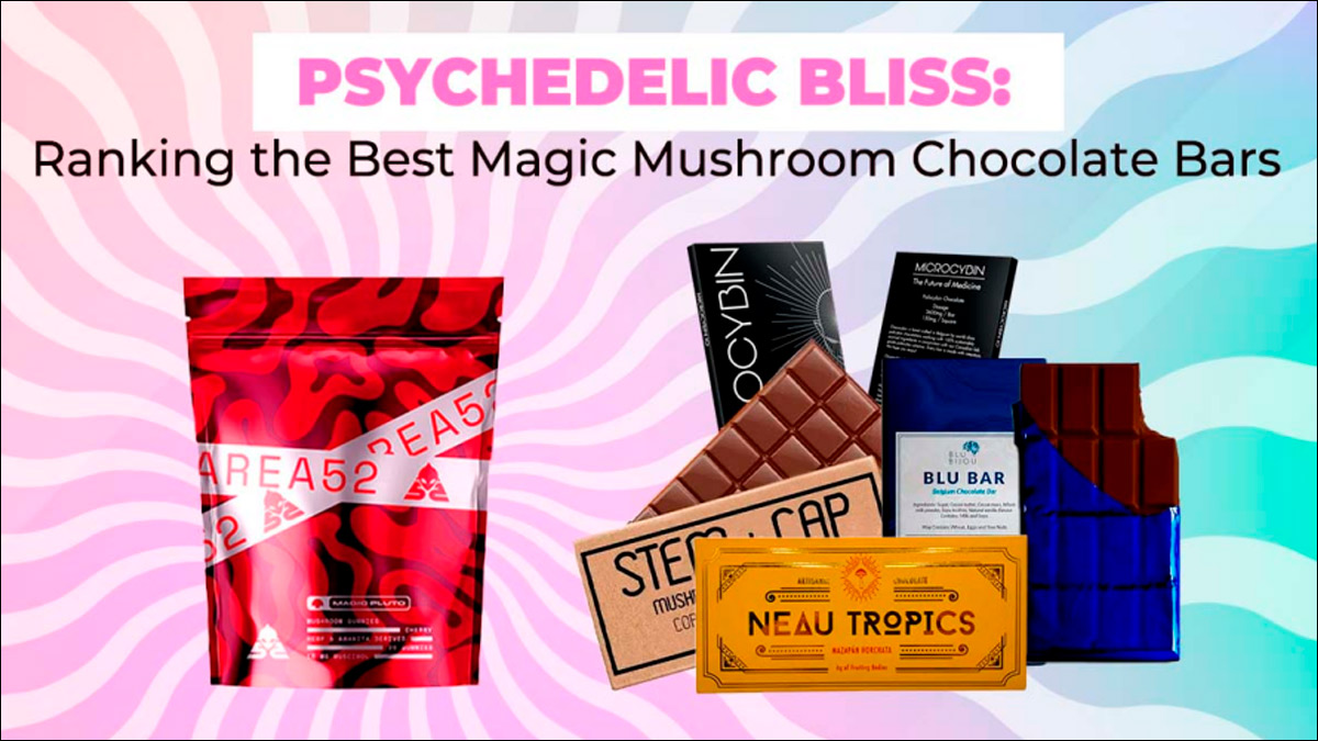 The Best Magic Mushroom Chocolate Bars: Comparing 4 Flavors