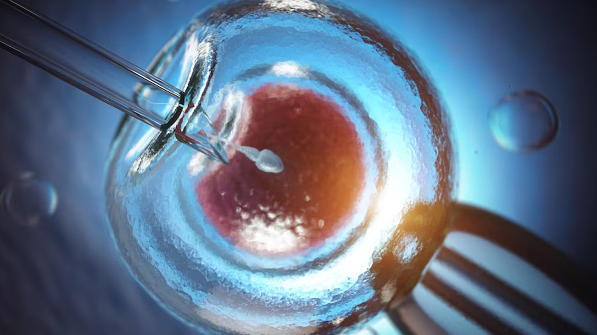 Centre Questions Siddhu Moose Wala’s Mother’s IVF Pregnancy: India’s IVF Laws You Must Know