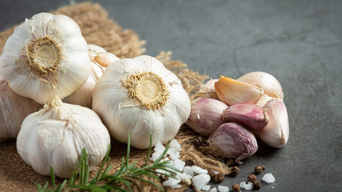garlic