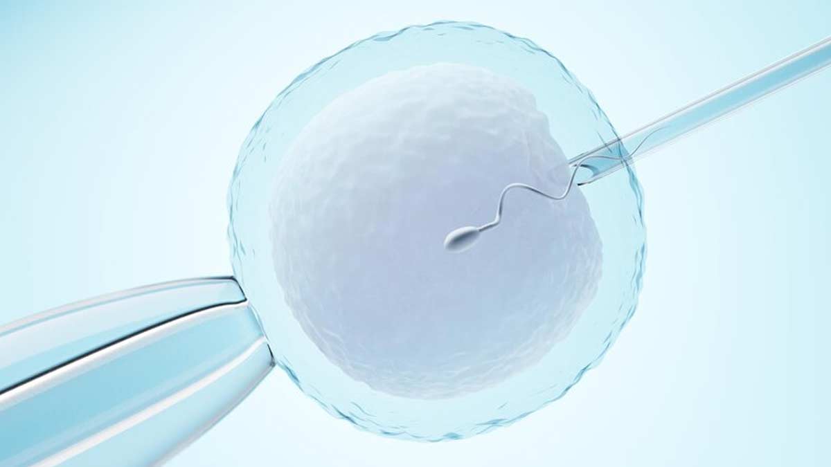 Expert Shares The Importance Of Protein For In Vitro Fertilisation (IVF) Success
