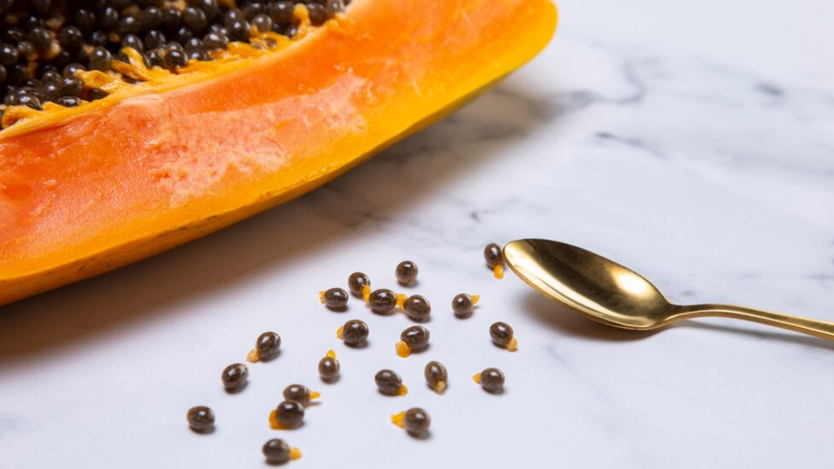 Papaya Seeds in High Cholesterol