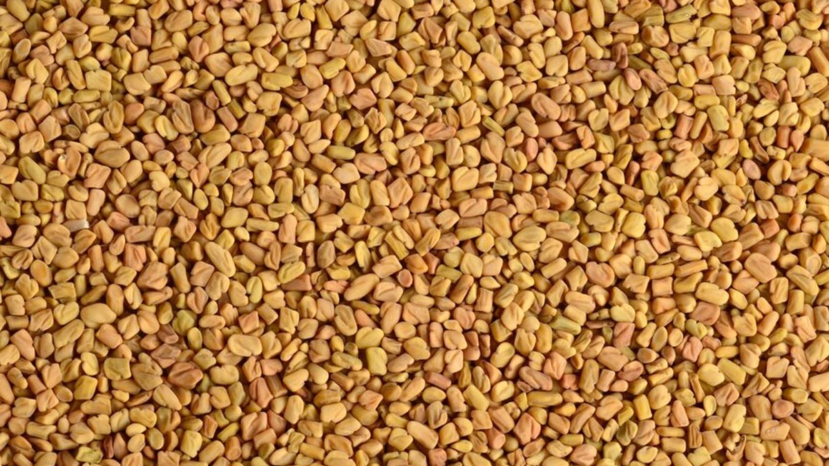 Methi