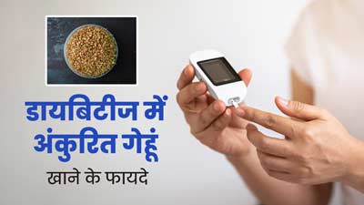 डायबिटीज के मरीज रोजाना करें अंकुरित गेहूं का सेवन, मिलेंगे अनोखे फायदे
