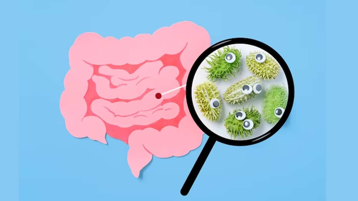 Things That Can Harm Your Gut Bacteria In Hindi