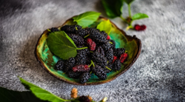 Summer Fruits To Keep You Hydrated and Refreshed