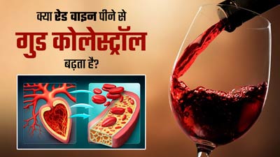 क्या रेड वाइन पीने से गुड कोलेस्ट्रॉल बढ़ता है? जानें एक्सपर्ट की राय