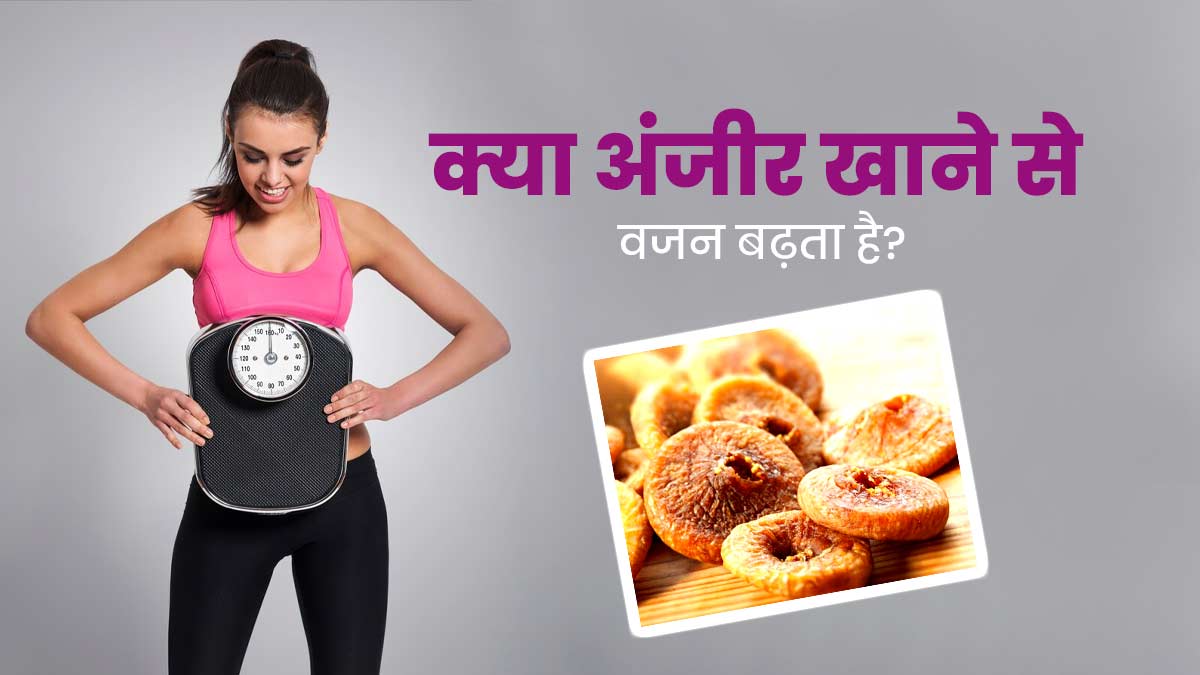 Anjeer For Weight Gain क्या अंजीर खाने से वाकई वजन बढ़ता है एक्सपर्ट से जानें Does Anjeer Or 0071