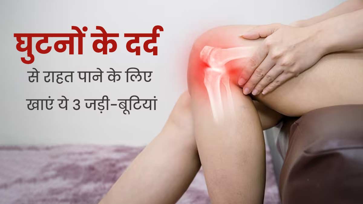 घुटनों में दर्द रहता है तो रोज करें इन 3 जड़ी-बूटियों का सेवन, सूजन और दर्द में मिलेगा आराम