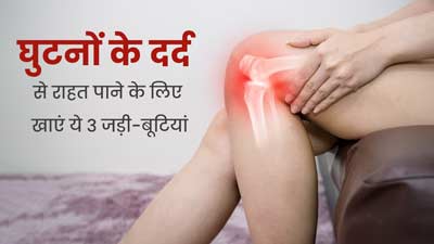 घुटनों में दर्द रहता है तो रोज करें इन 3 जड़ी-बूटियों का सेवन, सूजन और दर्द में मिलेगा आराम