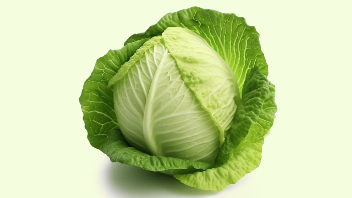 cabbage