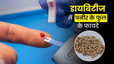 Diabetes: डायबिटीज रोगियों के लिए फायदेमंद होता है पनीर का फूल, एक्सपर्ट से जानें डाइट में शामिल करने का तरीका