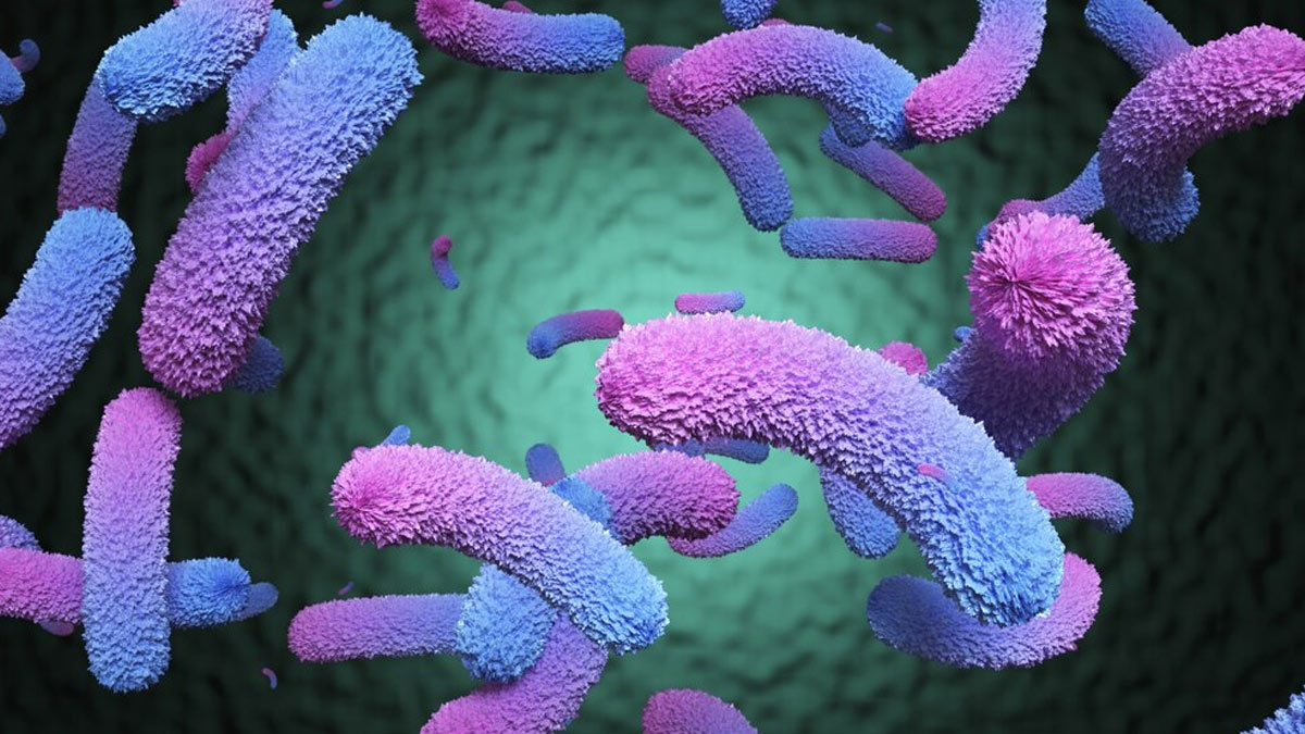 Here’s Why Is It Challenging To Diagnose Typhoid Fever
