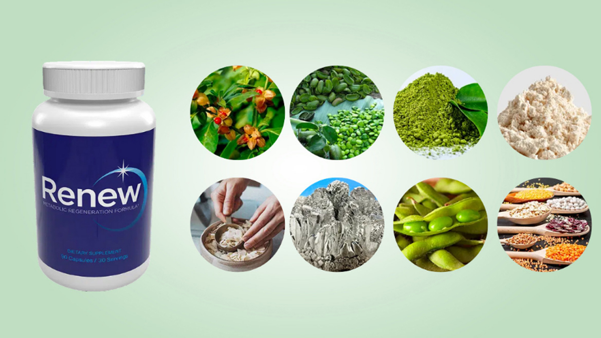 What Are The Ingredients Used To Formulate Renew Supplement