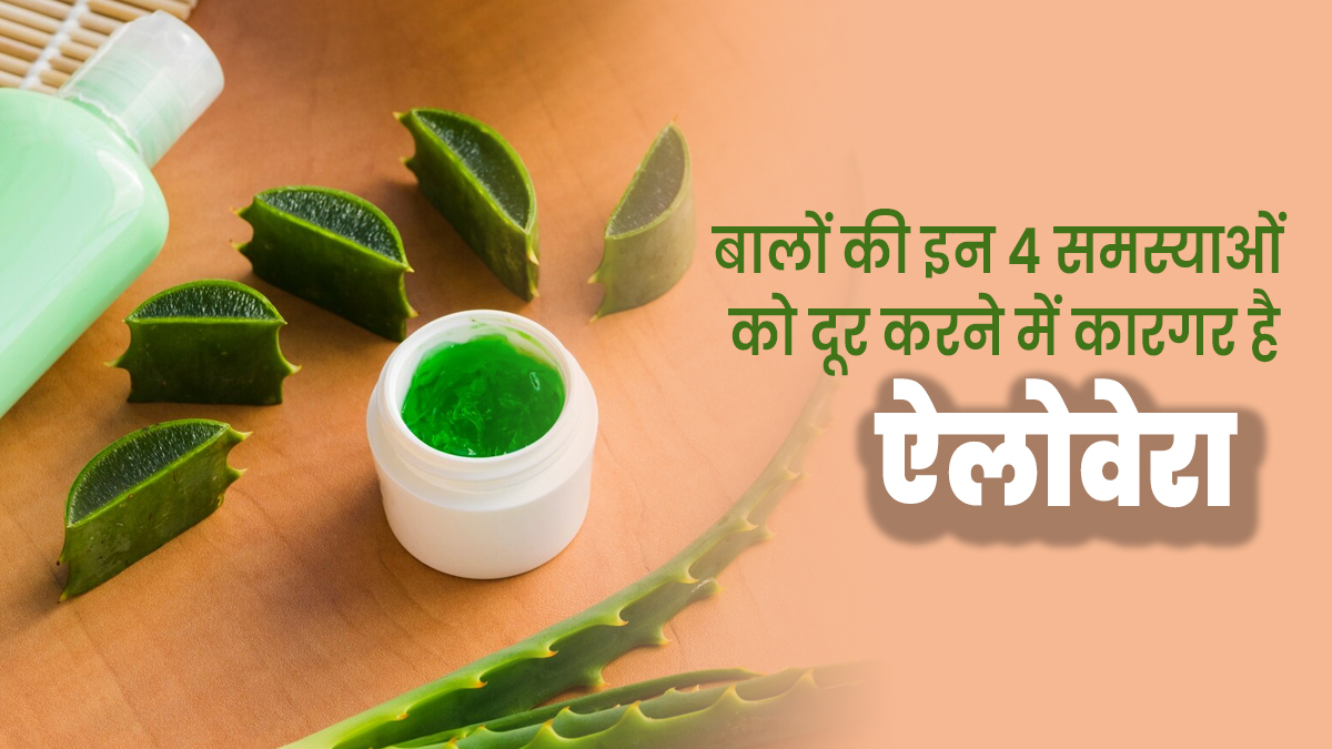 गर्मियों में बालों से जुड़ी इन 4 समस्याओं को दूर करता है एलोवेरा, जानें इस्तेमाल के तरीके