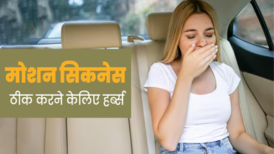 सफर के दौरान खराब हो गई है तबीयत, तो इन 5 जड़ी-बूटियों का करें सेवन, मिलेगी राहत