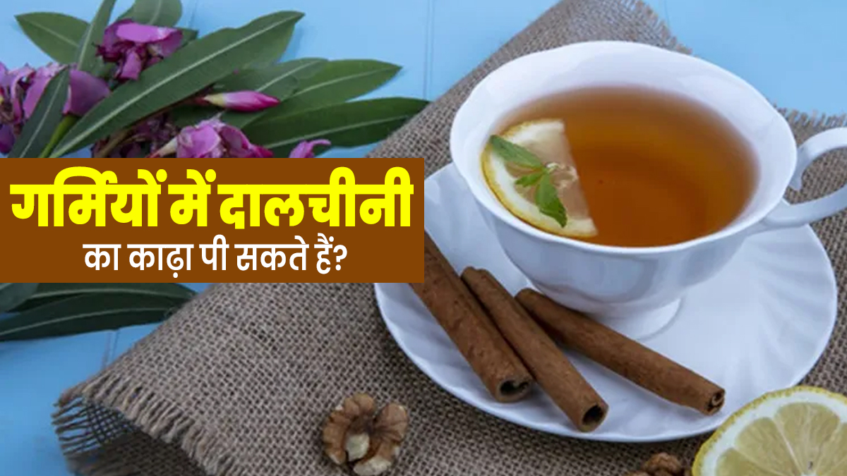 Dalchini Kadha: क्या गर्मियों में दालचीनी का काढ़ा पी सकते हैं? एक्सपर्ट से जानें