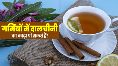 Dalchini Kadha: क्या गर्मियों में दालचीनी का काढ़ा पी सकते हैं? एक्सपर्ट से जानें